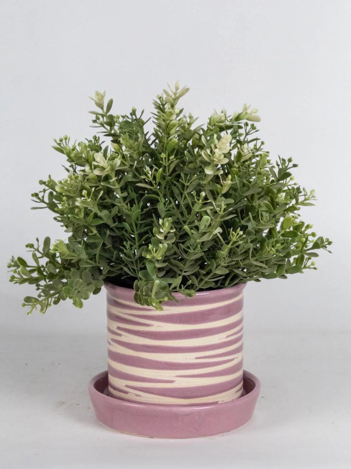 Classic Ceramic Planter Set of 2 (2" Dia)