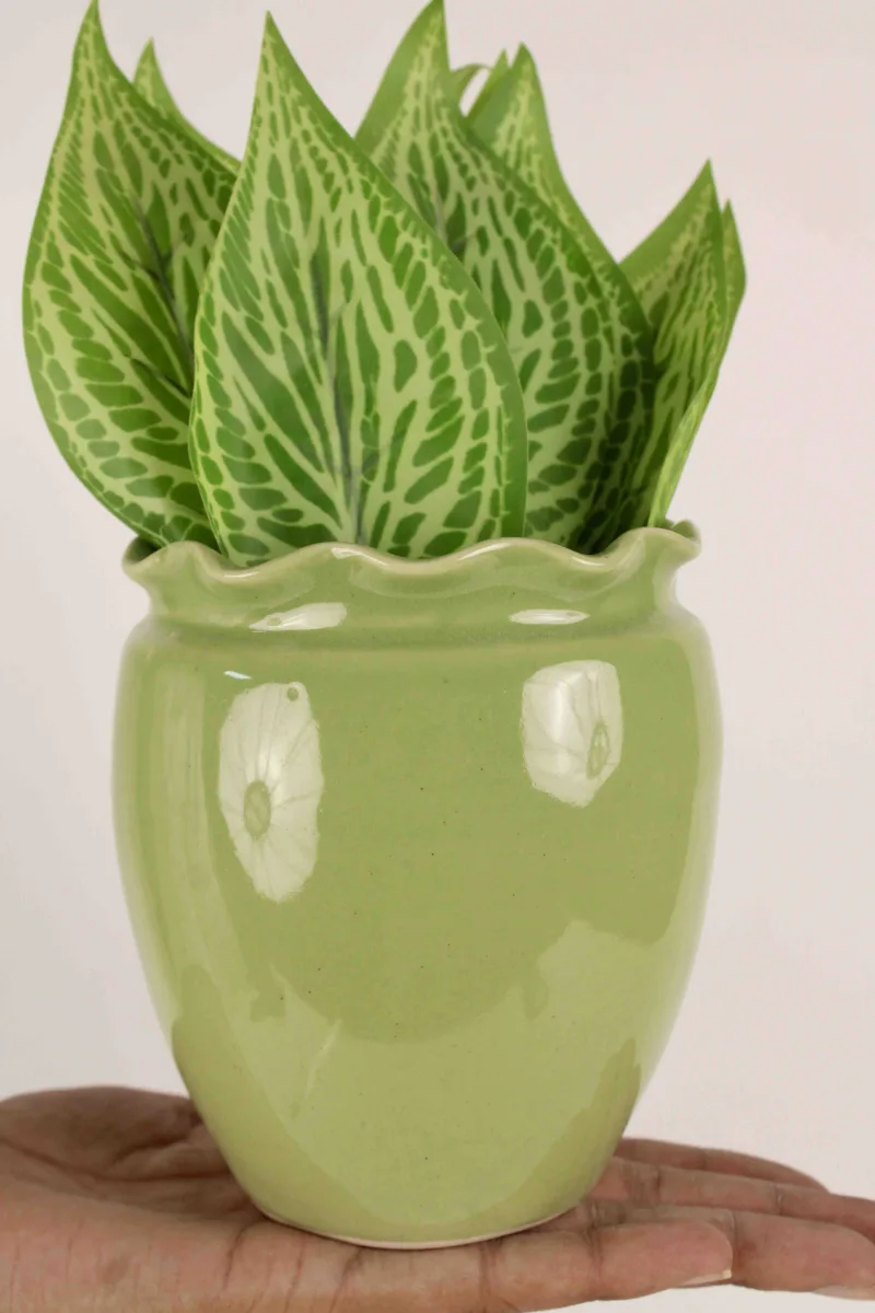 Classic Ceramic Planter — 5" Dia × 4.5" Height