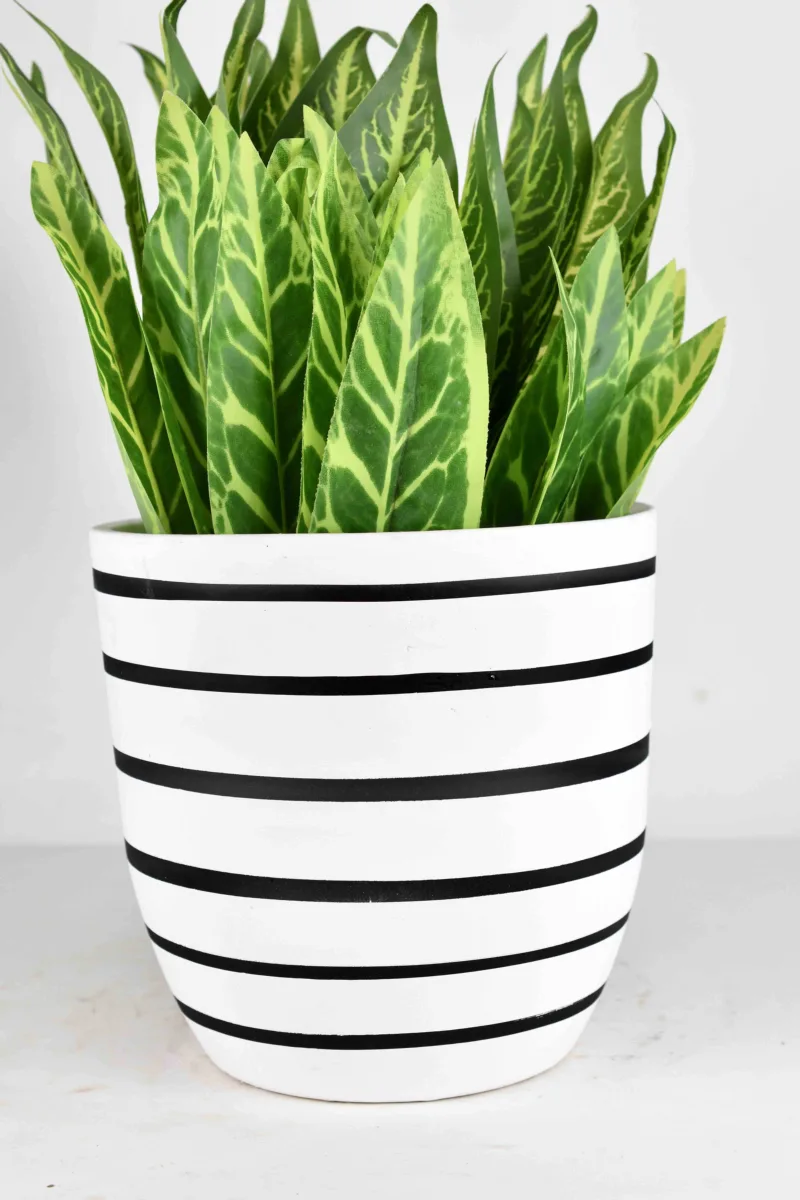 Classic Ceramic Planter — 8" Dia × 4" Height